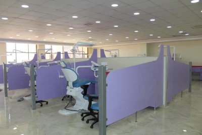 Dental Clinics