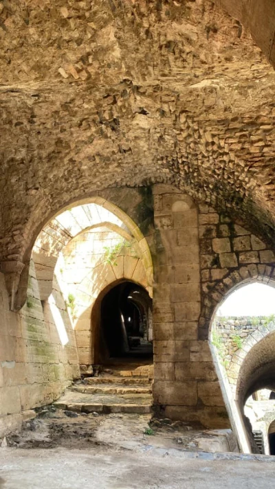 رحلة علمية ميدانية لطلاب الهندسة المعمارية تجمع بين التراث التاريخي والعمارة الطبيعية