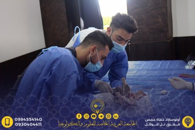 ورشة الطعوم العظمية