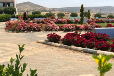 مدرج روماني وحدائق